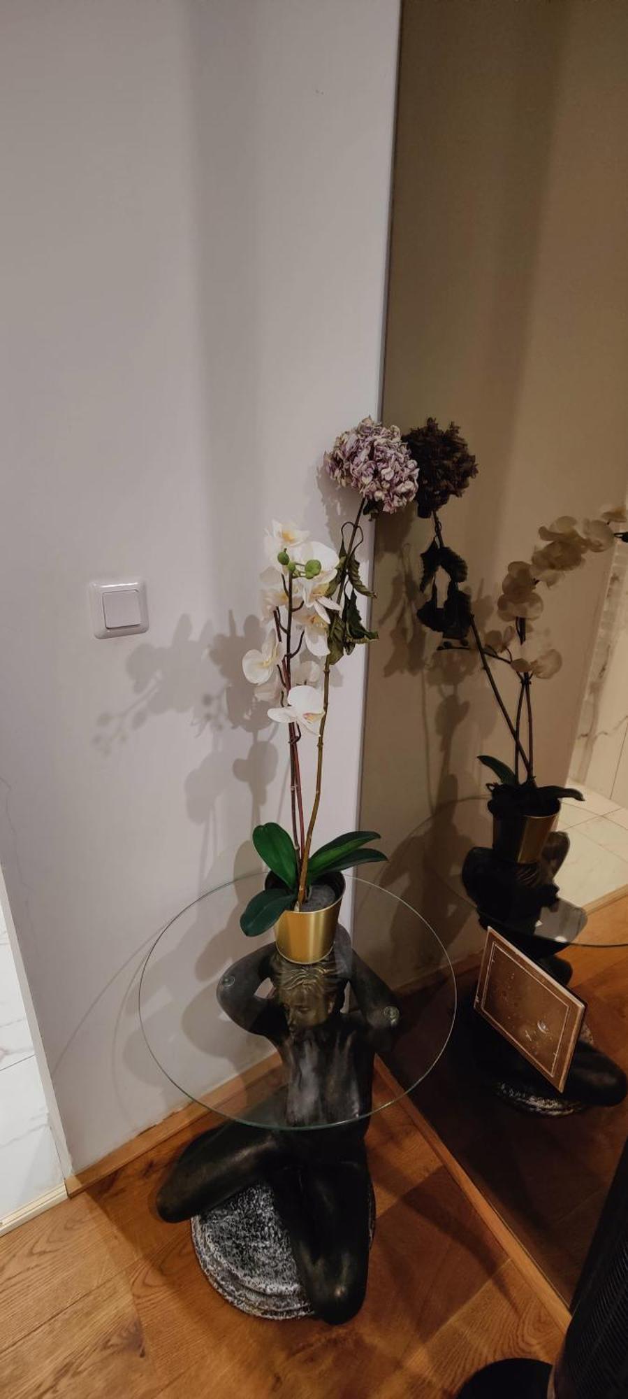 Xuba Apartmentrooms Messe Wien Prater Εξωτερικό φωτογραφία
